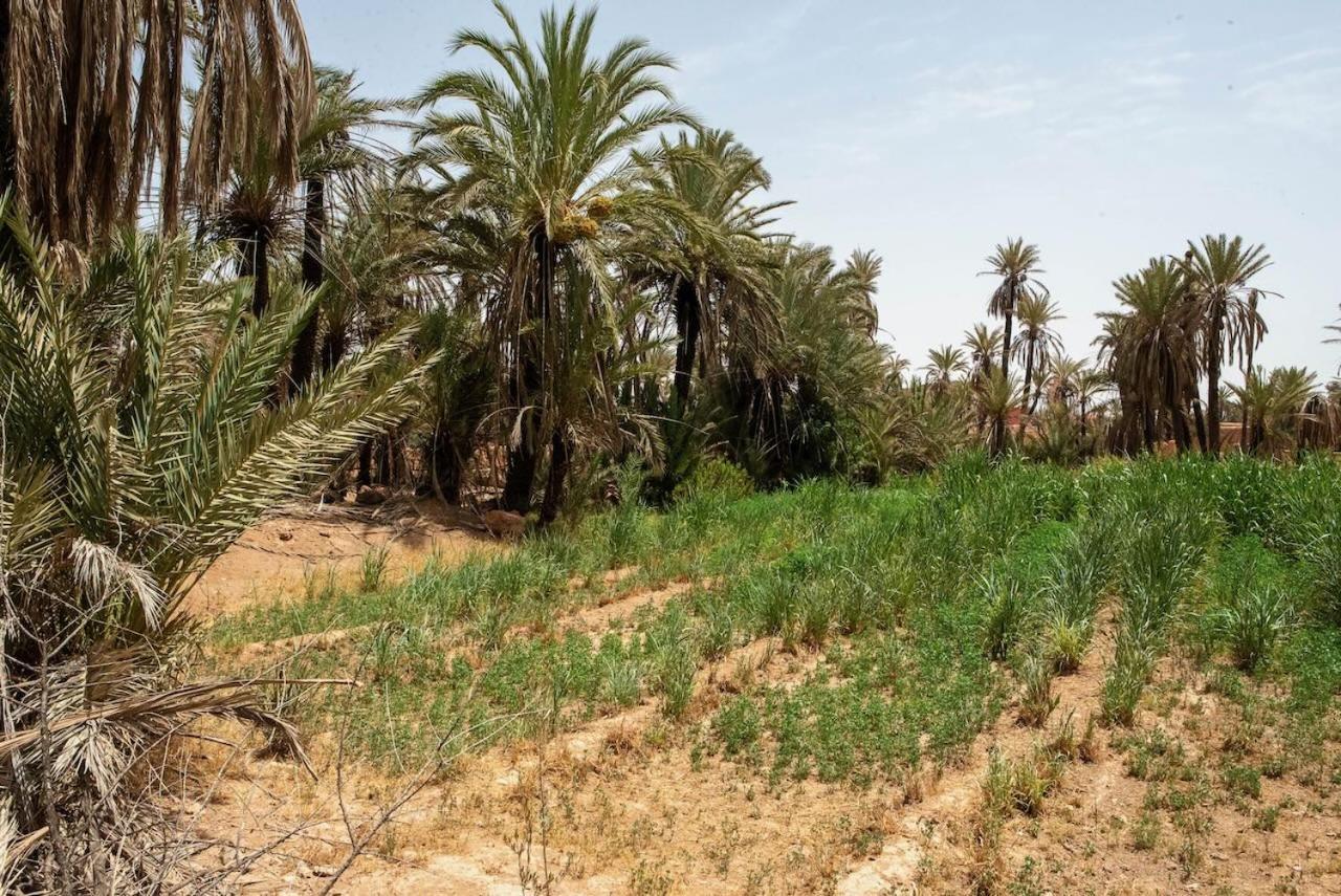 Maison Etoile Du Desert Tighmert Экстерьер фото