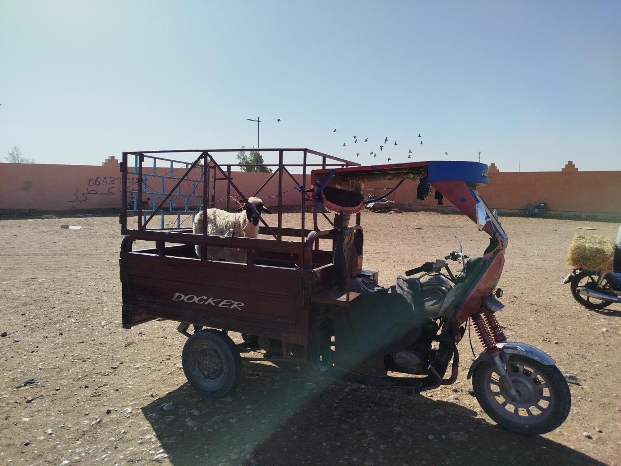 Maison Etoile Du Desert Tighmert Экстерьер фото