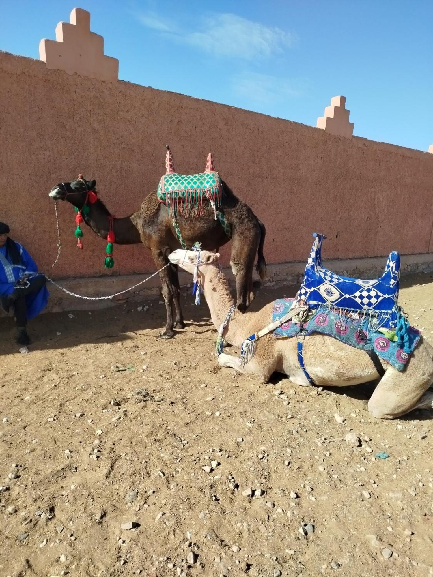 Maison Etoile Du Desert Tighmert Экстерьер фото