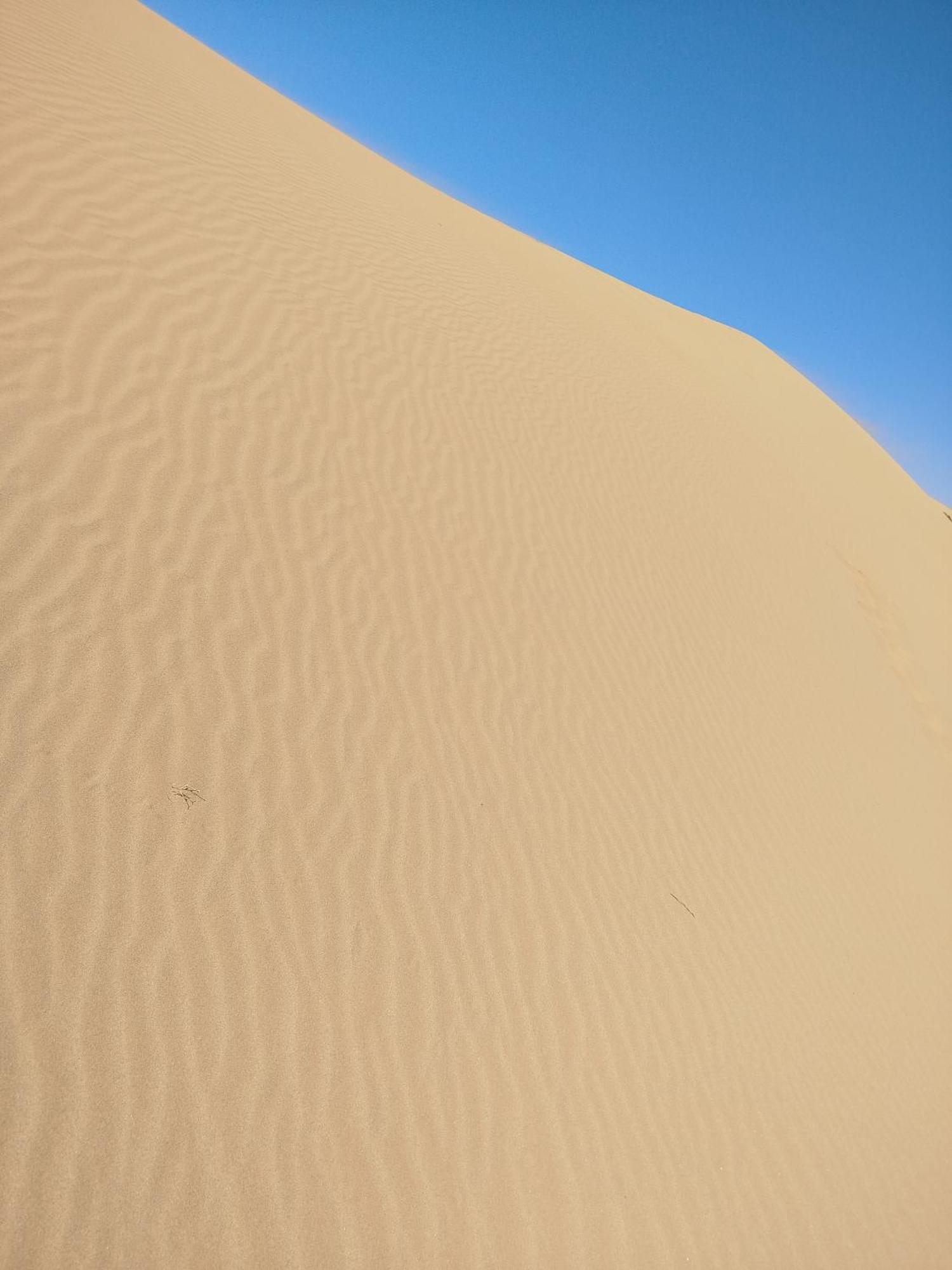 Maison Etoile Du Desert Tighmert Экстерьер фото